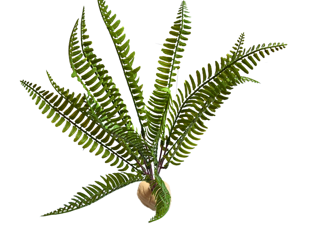 Planta Helecho 35cm de decoración para terrarios
