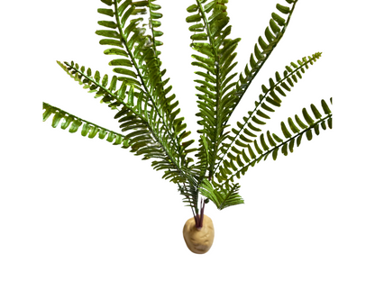 Planta Helecho 35cm de decoración para terrarios