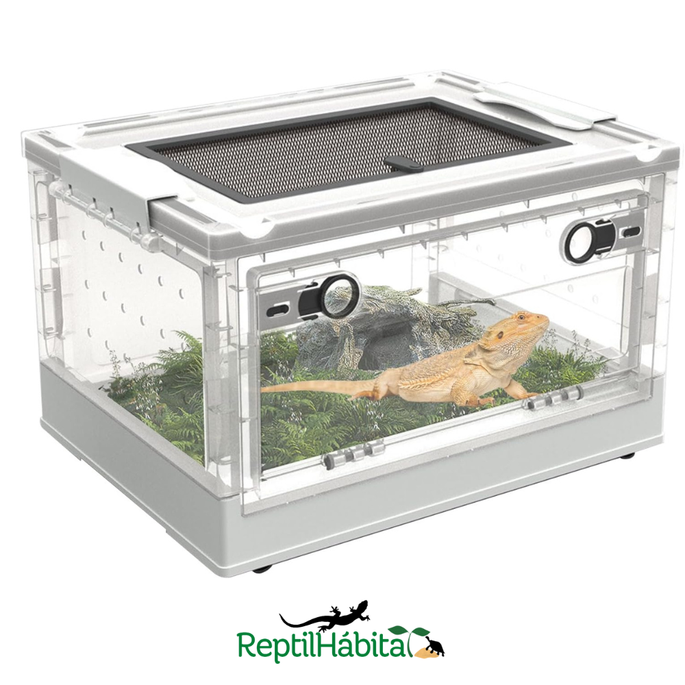 Terrario Plegable FoldPro ReptilHábitat