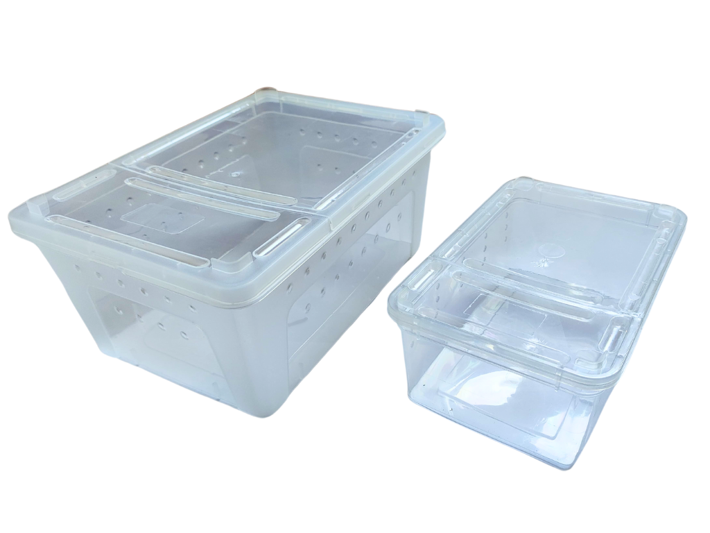 Box de alimentación ReptilHábitat