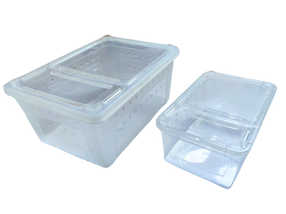 Box de alimentación ReptilHábitat