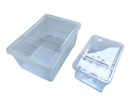 Box de alimentación ReptilHábitat