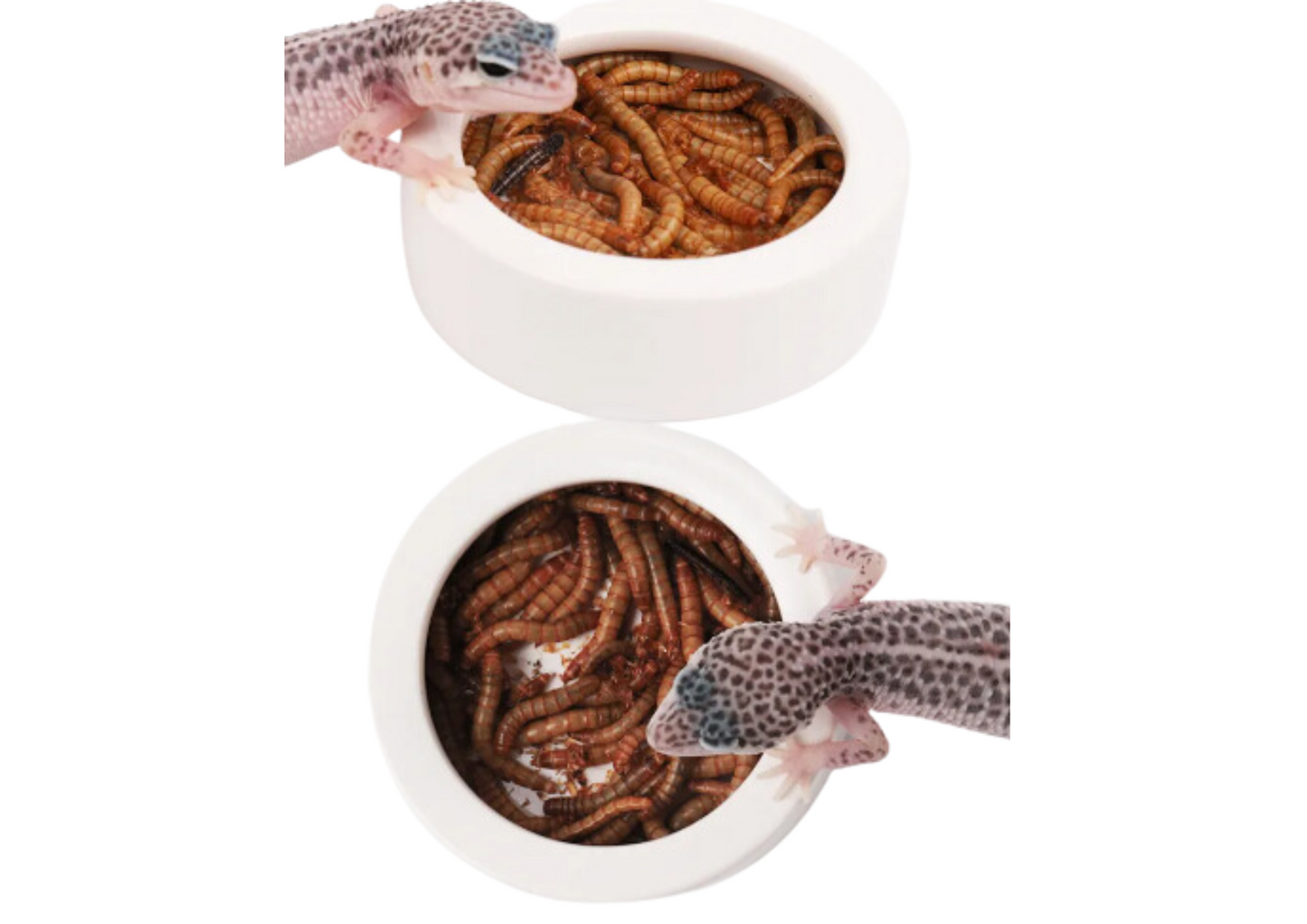 Comedero antifugas ceramico
