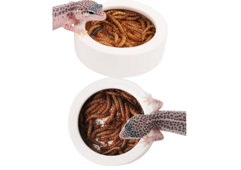 Comedero antifugas ceramico