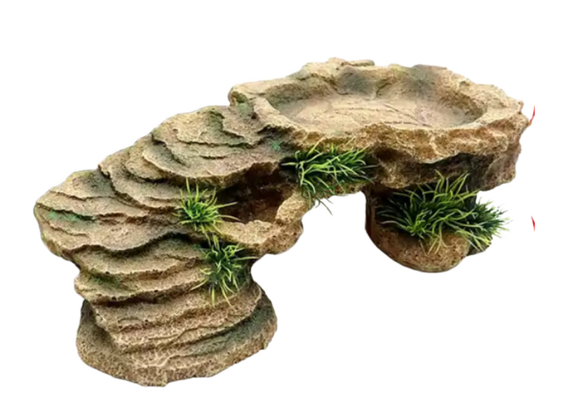 Plataforma para terrarios
