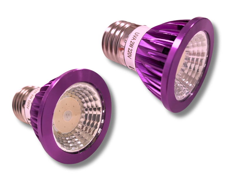 Bombilla de Luz Nocturna LED