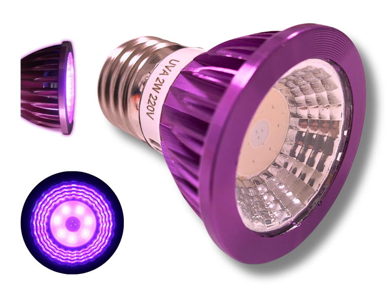 Bombilla de Luz Nocturna LED