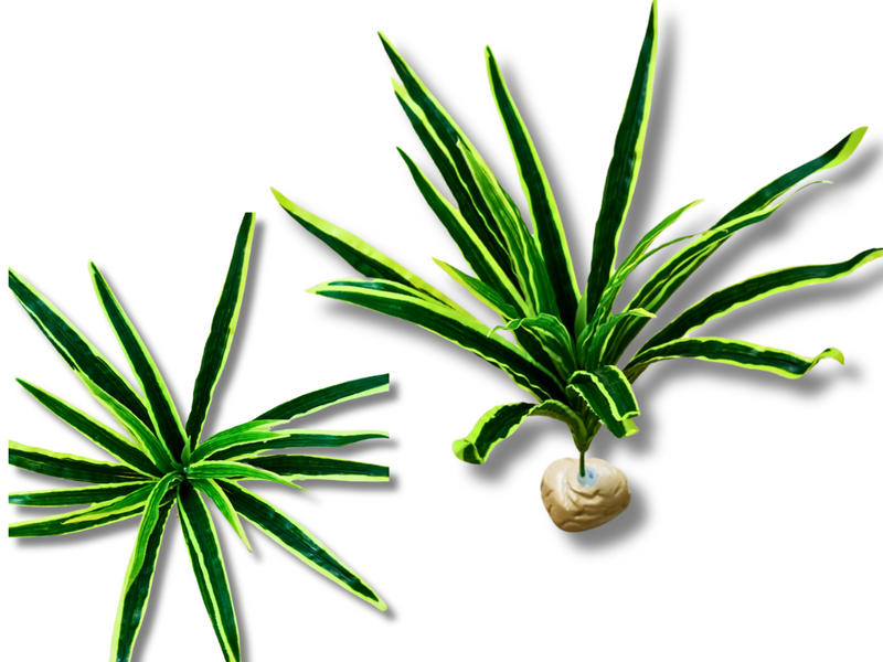 Planta Cinta de decoración para terrarios