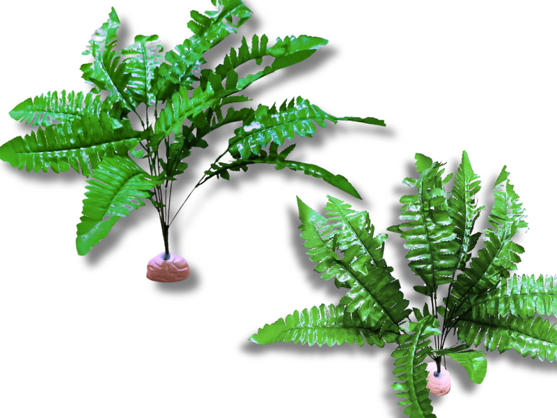 Planta Helecho 45 cm de decoración para terrarios